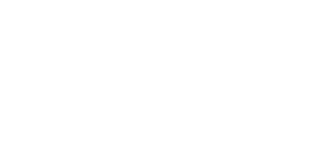 Read more about the article WOLF Watch Box