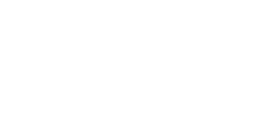 Read more about the article WOLF Watch Box