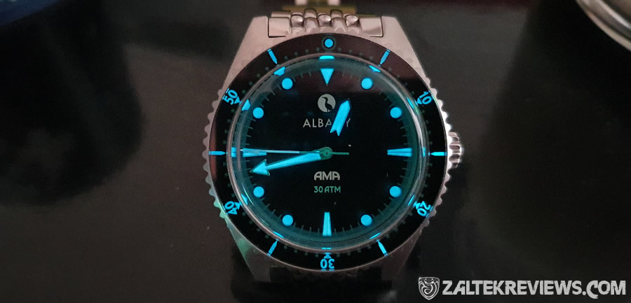 Albany AMA Diver Review