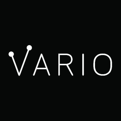 Vario Logo 2