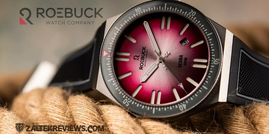 Read more about the article Roebuck Scuba