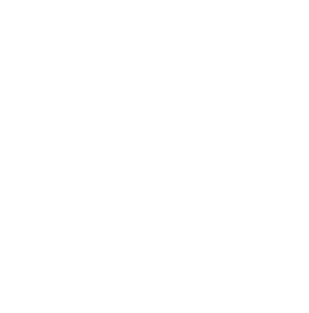 NTH Logo