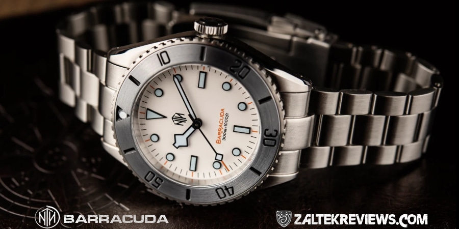 Read more about the article NTH Barracuda