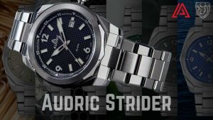 Read more about the article Audric Strider
