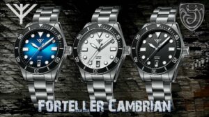 Read more about the article Forteller Cambrian