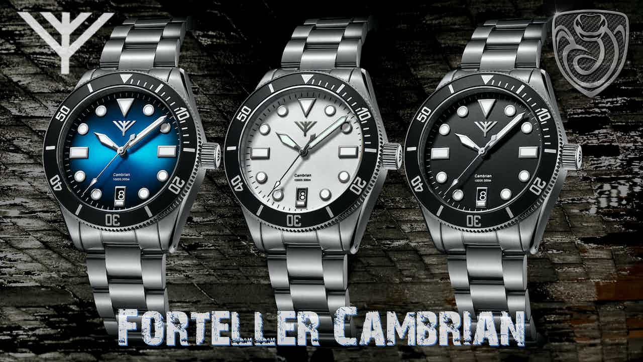 Read more about the article Forteller Cambrian