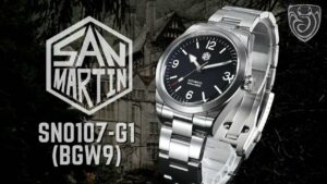 Read more about the article San Martin SN0107-G1 (BGW9)