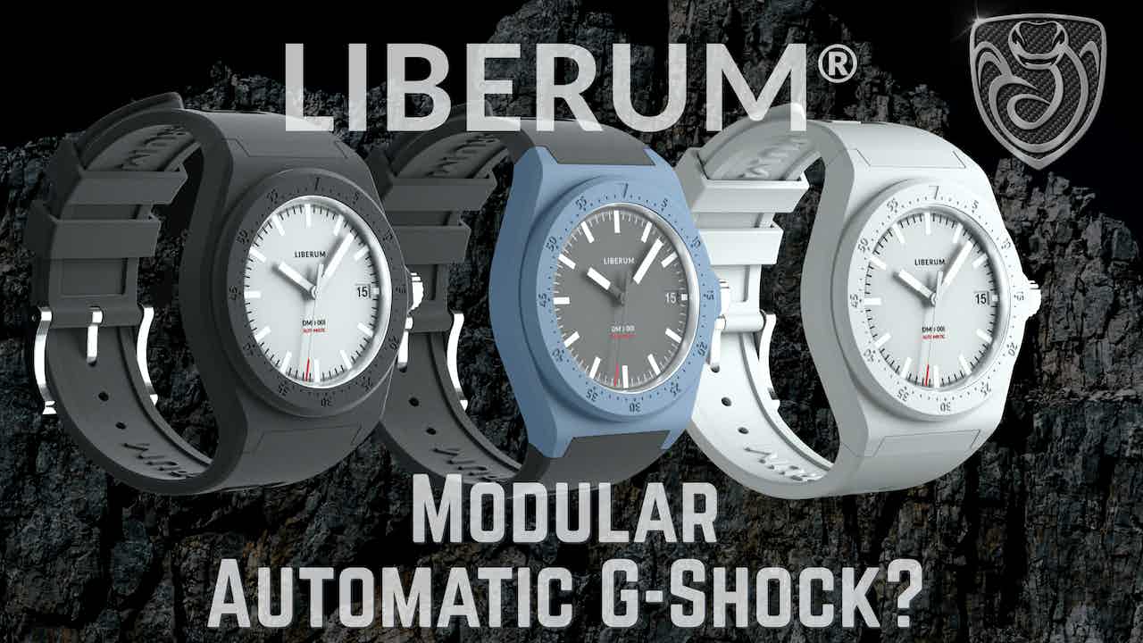 Read more about the article Liberum DMD 001